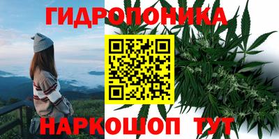 mix Дубна