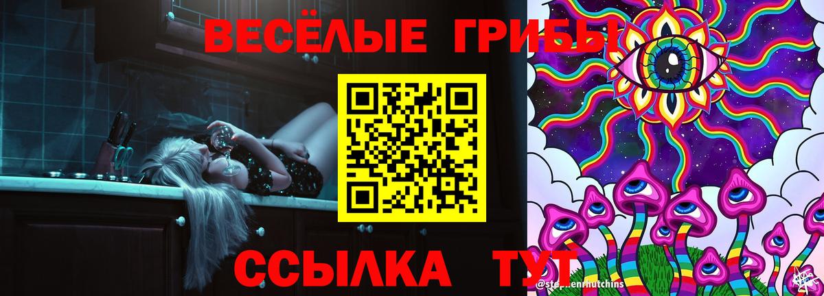 Псилоцибиновые грибы мицелий Минусинск