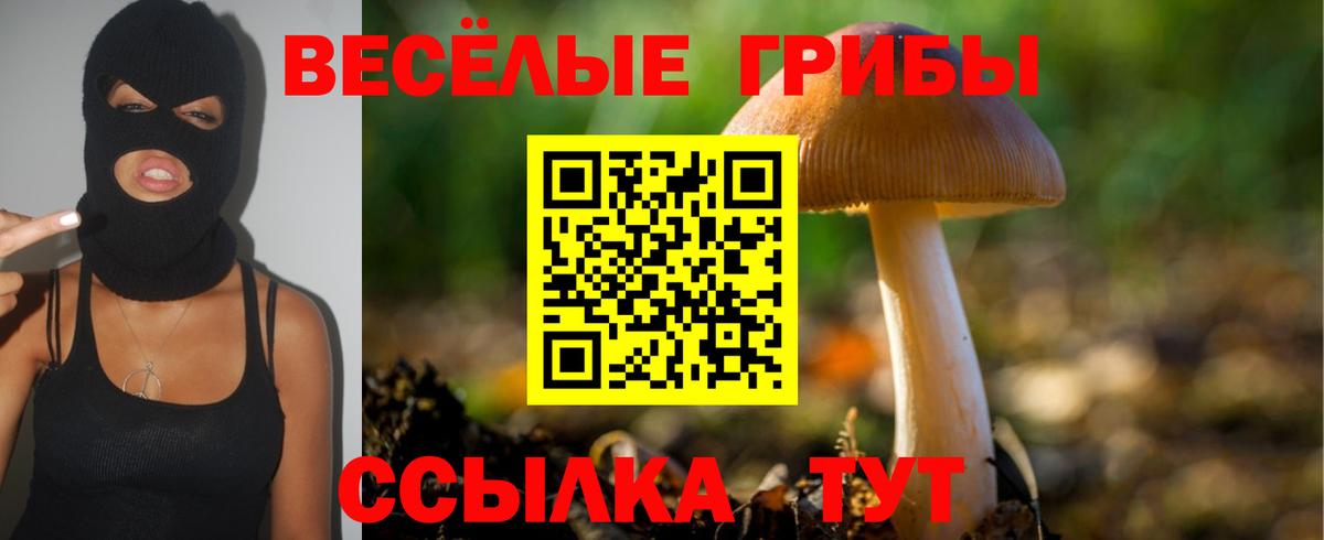 Псилоцибиновые грибы прущие грибы  Вход с VPN  Галлюциногенные грибы прущие грибы  Минусинск 